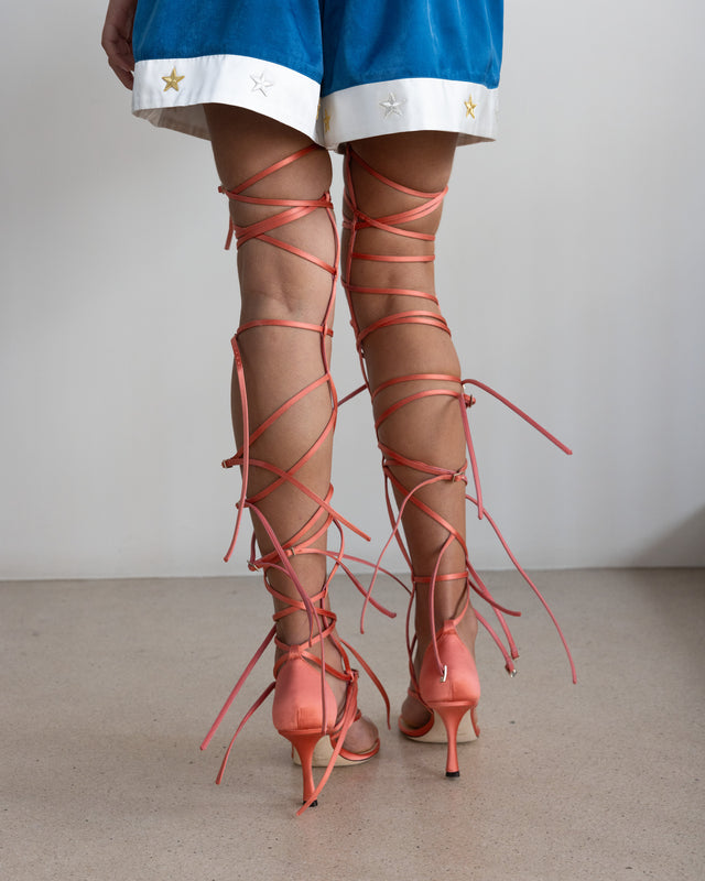 Collection Gallery