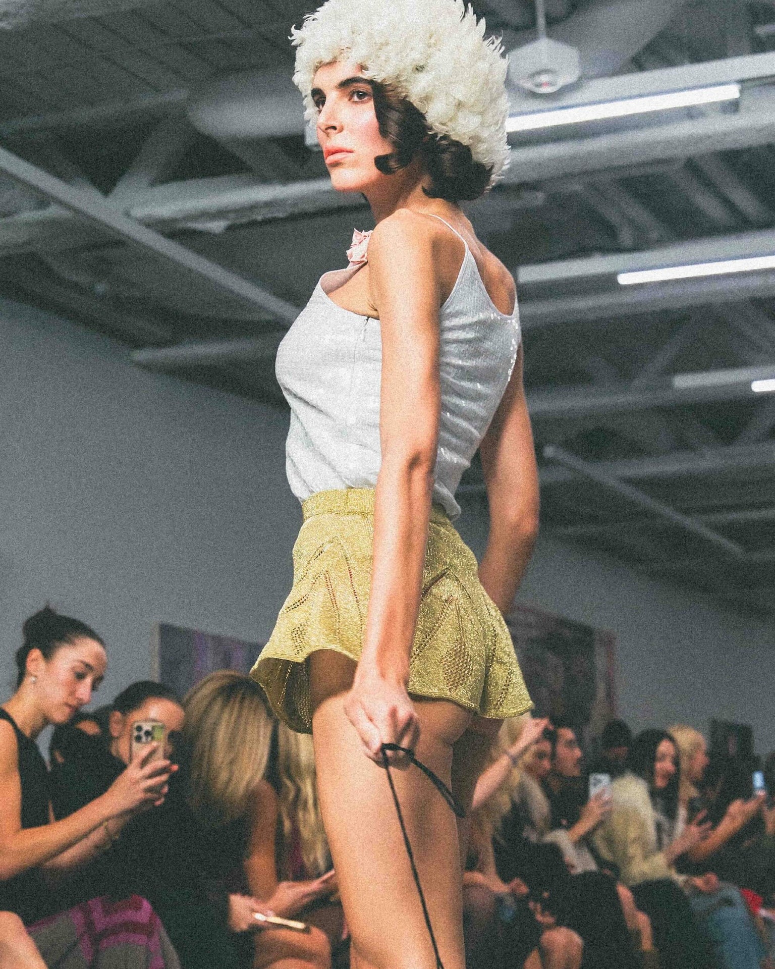 Collection Gallery