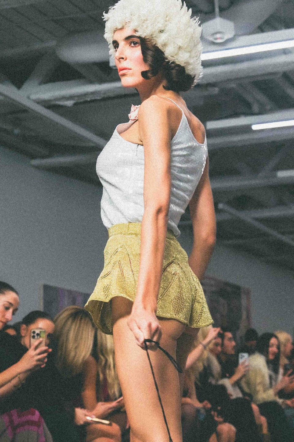 Collection Gallery