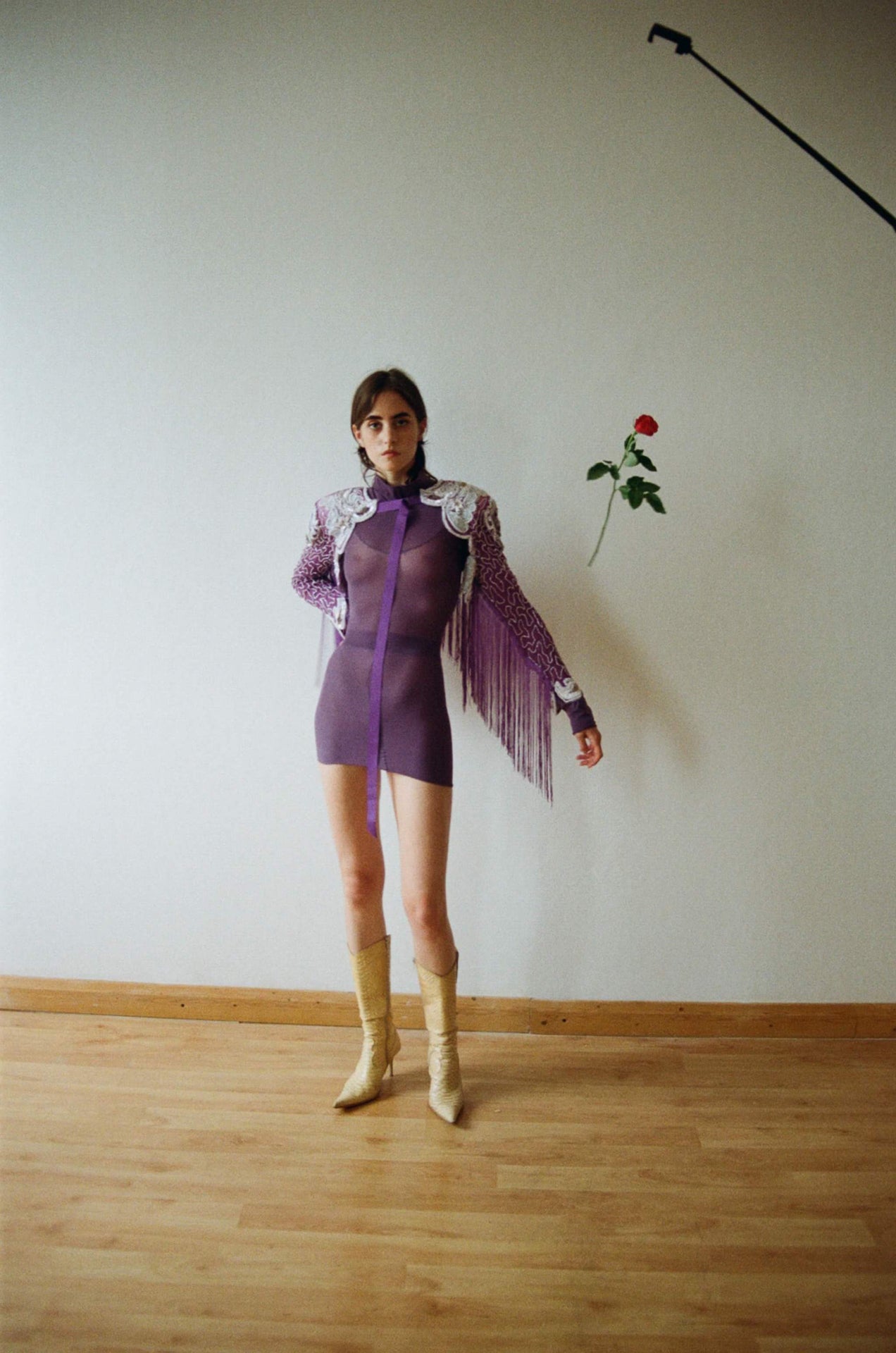 Collection Gallery