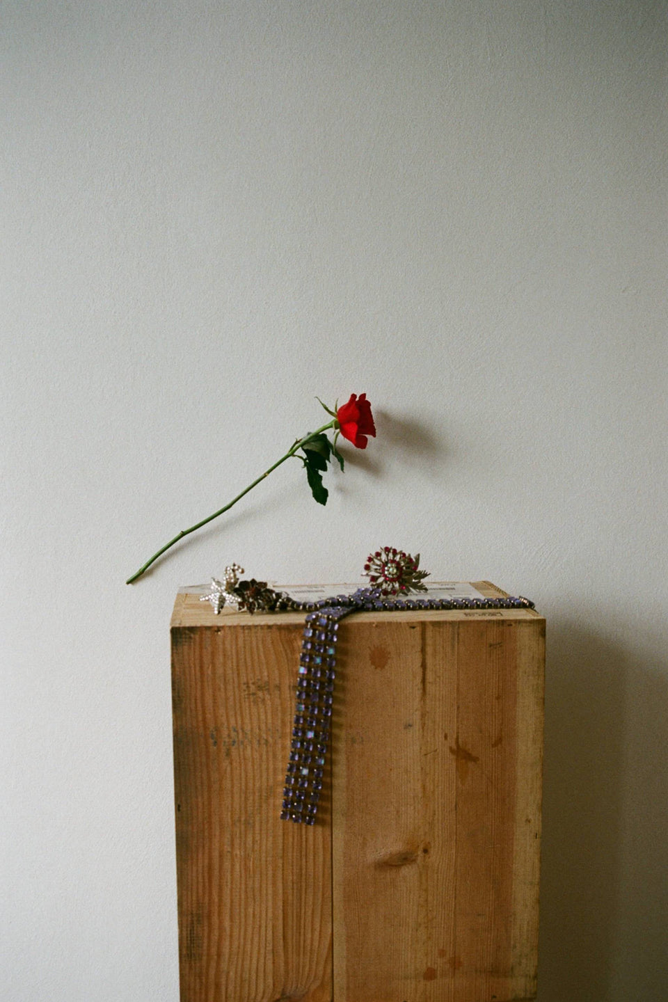 Collection Gallery