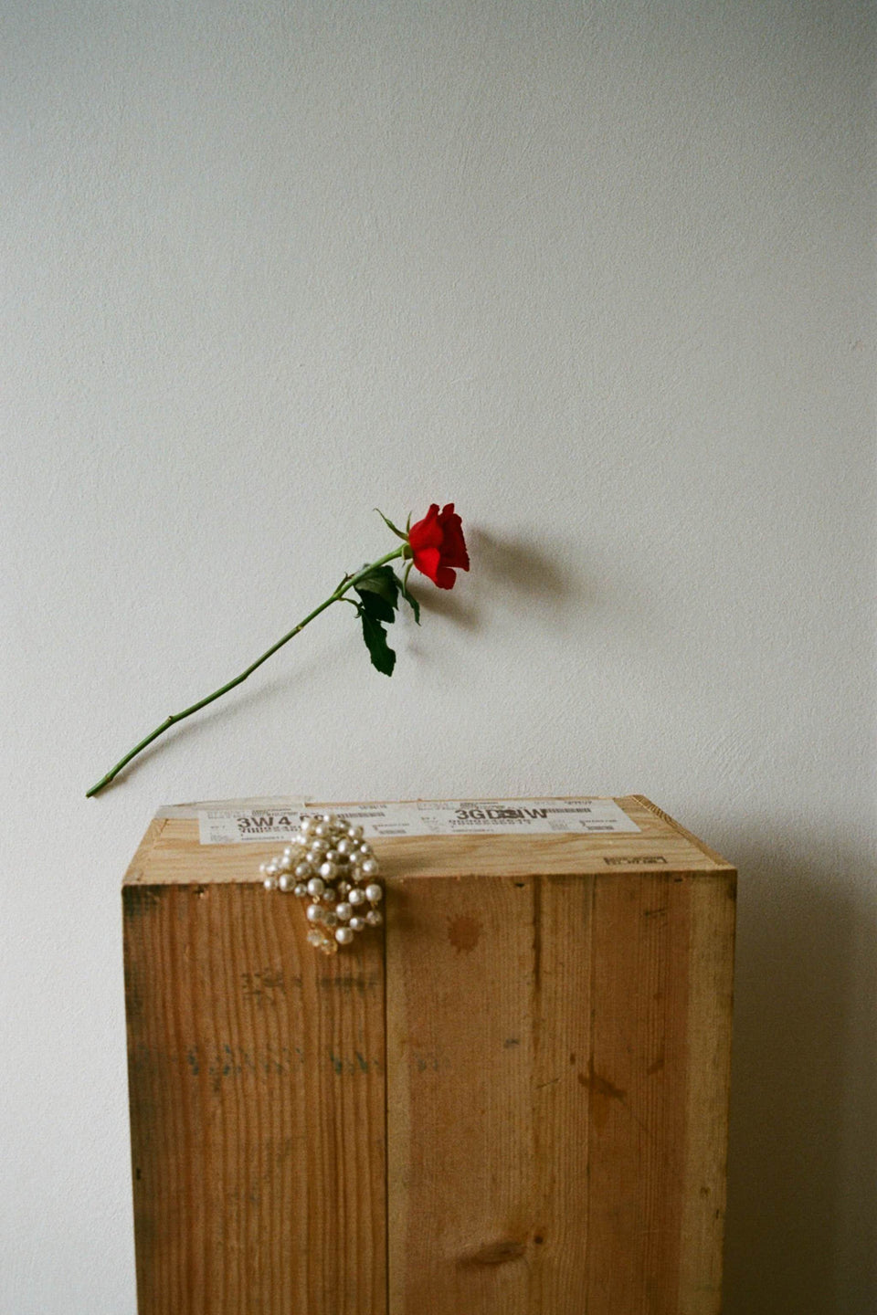 Collection Gallery
