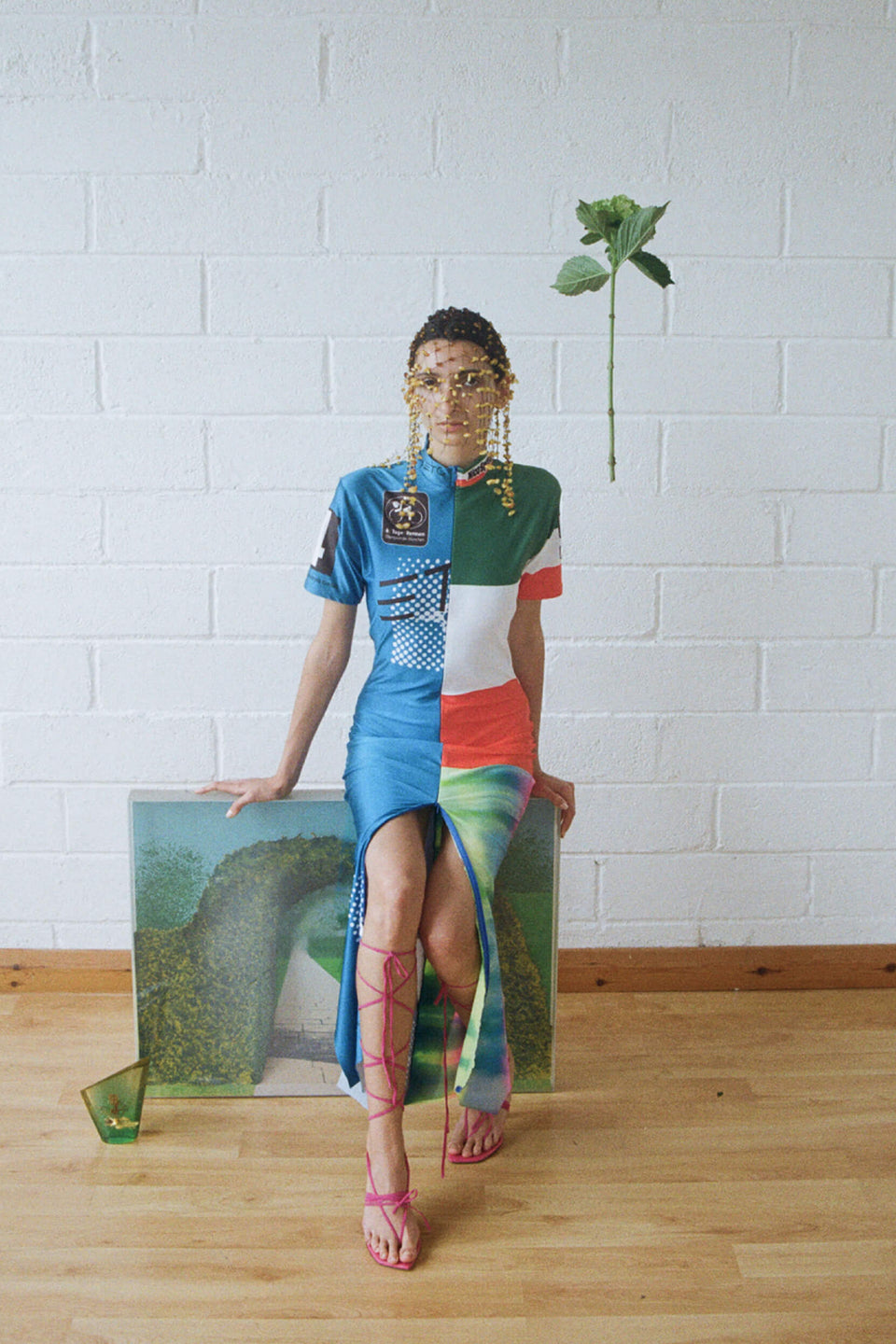 Collection Gallery